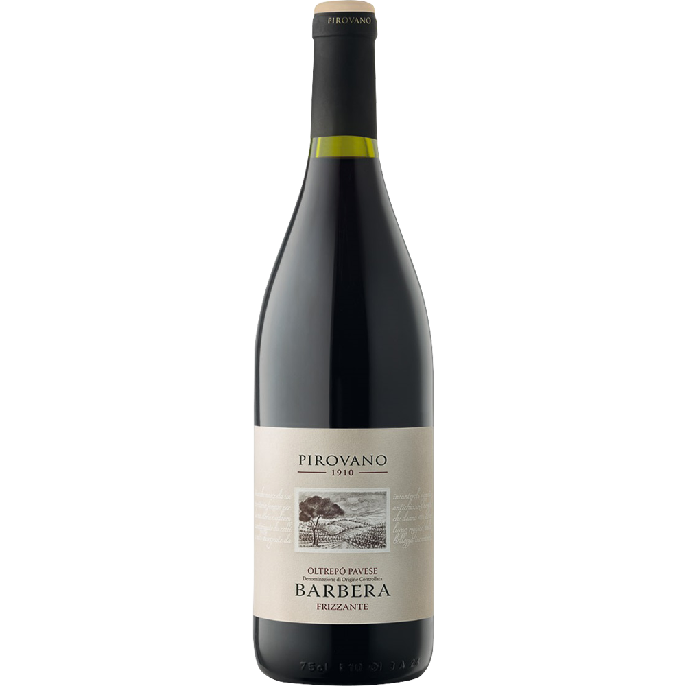 BARBERA OLTREPÒ