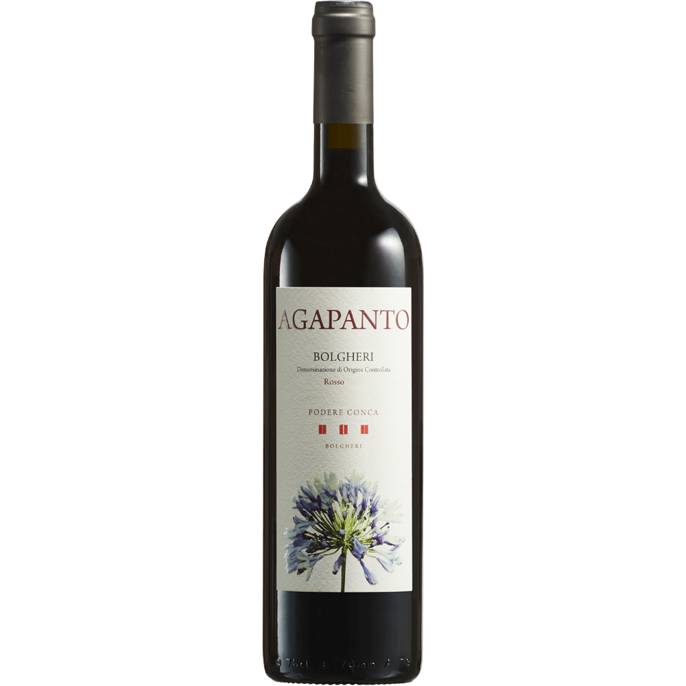 AGAPANTO