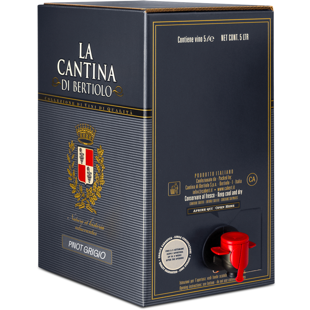 BAG IN BOX PINOT GRIGIO FRIULI 5 L
