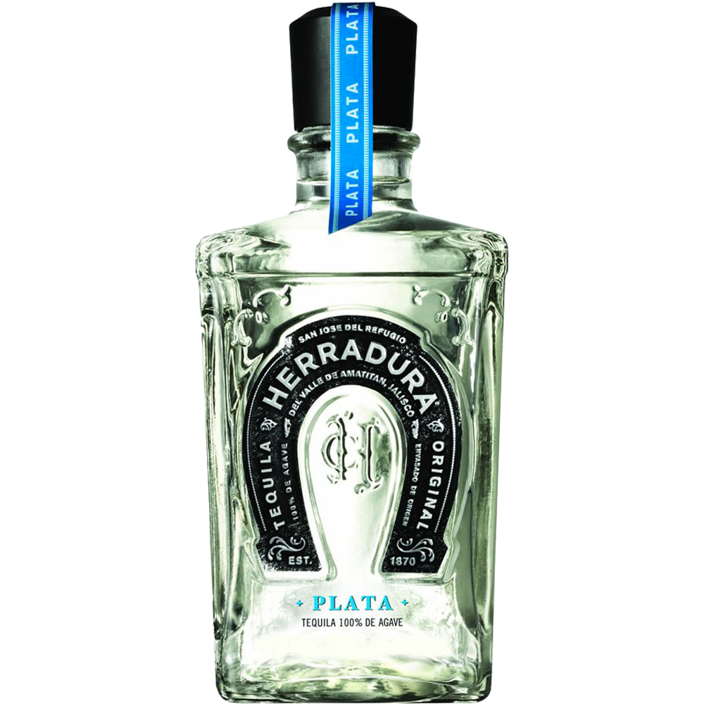 HERRADURA PLATA
